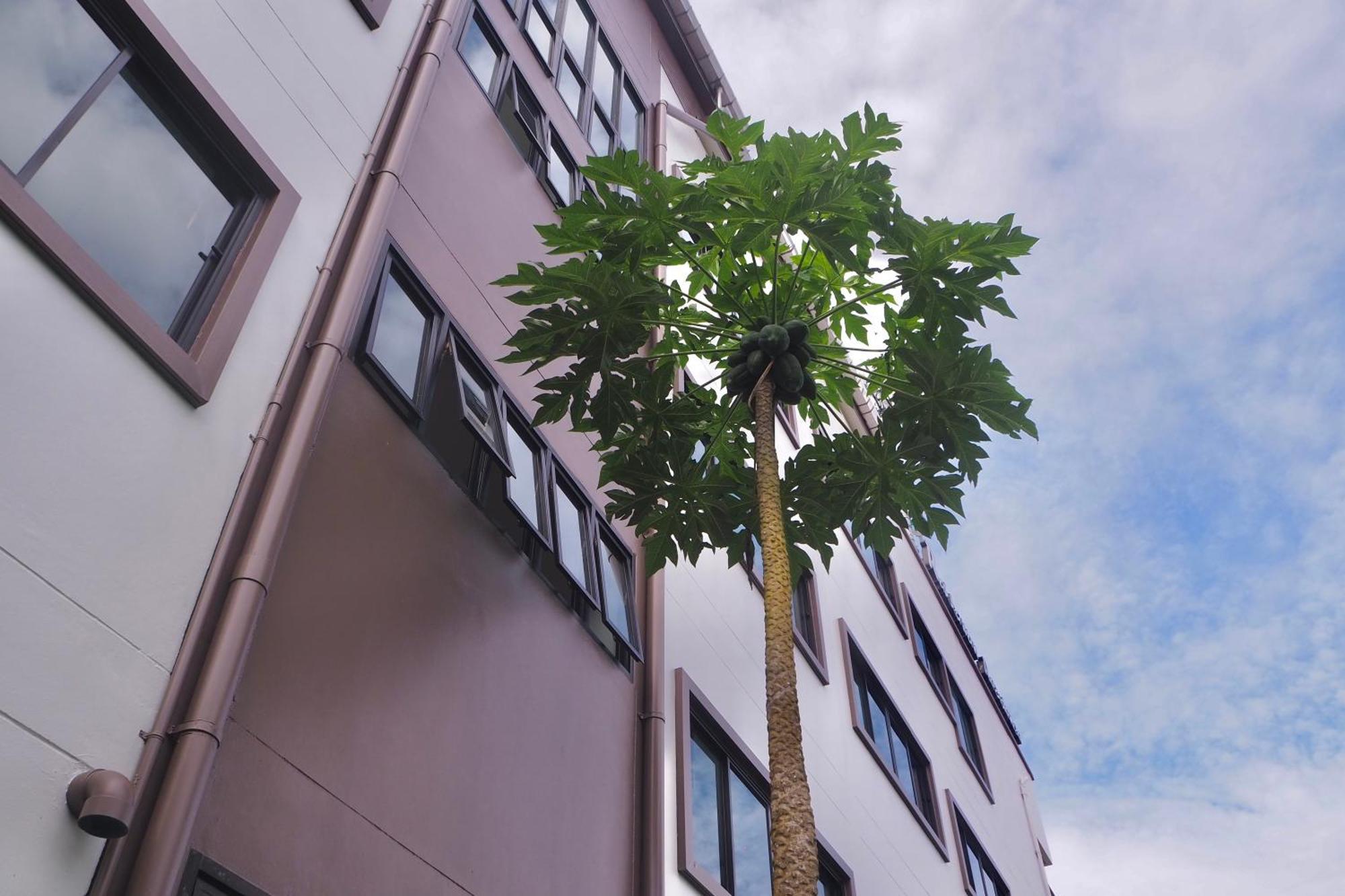 Rakkawan Residence - SHA EXTRA PLUS Khao Lak Bagian luar foto